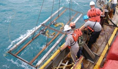 Anode systems for offshore cathodic protection