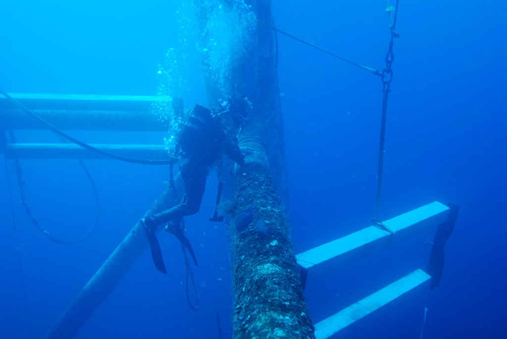 Diver bolting on a dual anode