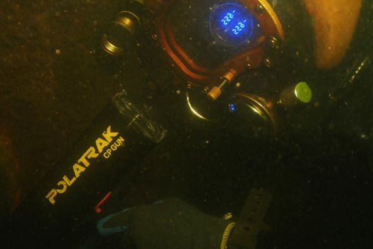 Diver-with-Cp-Gun_WEB.jpg