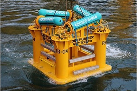 DW brand RetroBuoy.jpg