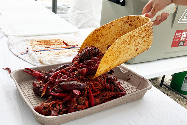 2025 Crawfish Web 11